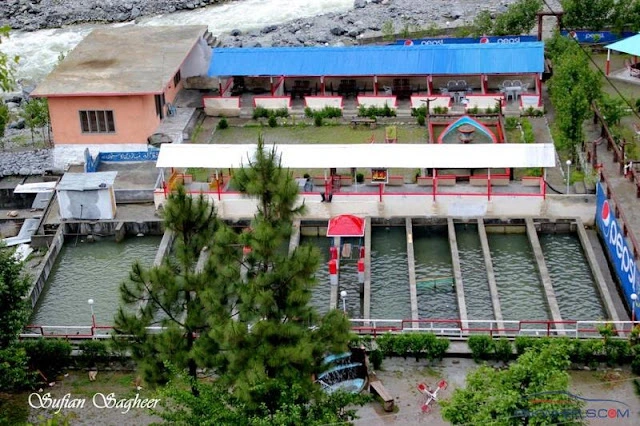 Chail Trout Fish Park